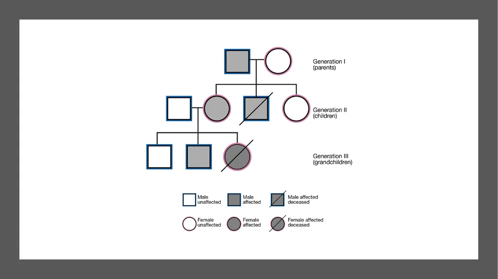 The Reproductive System and Human Genetics - slide 55 of 56