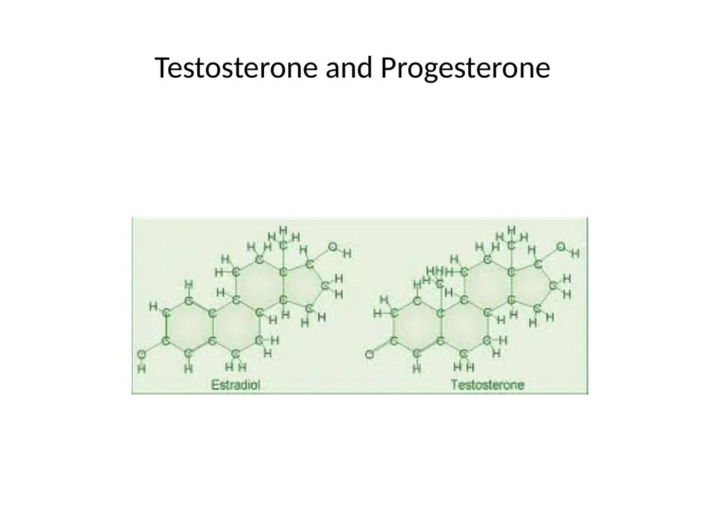 Reproductive Biology I. Need for Meiosis A. Human - slide 20 of 33