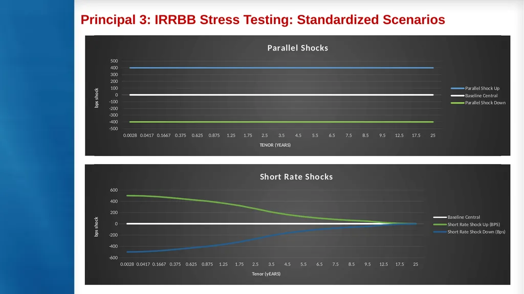 Measurement and modelling of interest rate risk in - slide 17 of 43