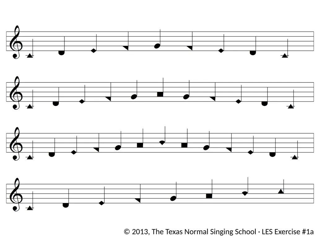 These Exercises Are Provided by the Texas Normal - slide 14 of 32