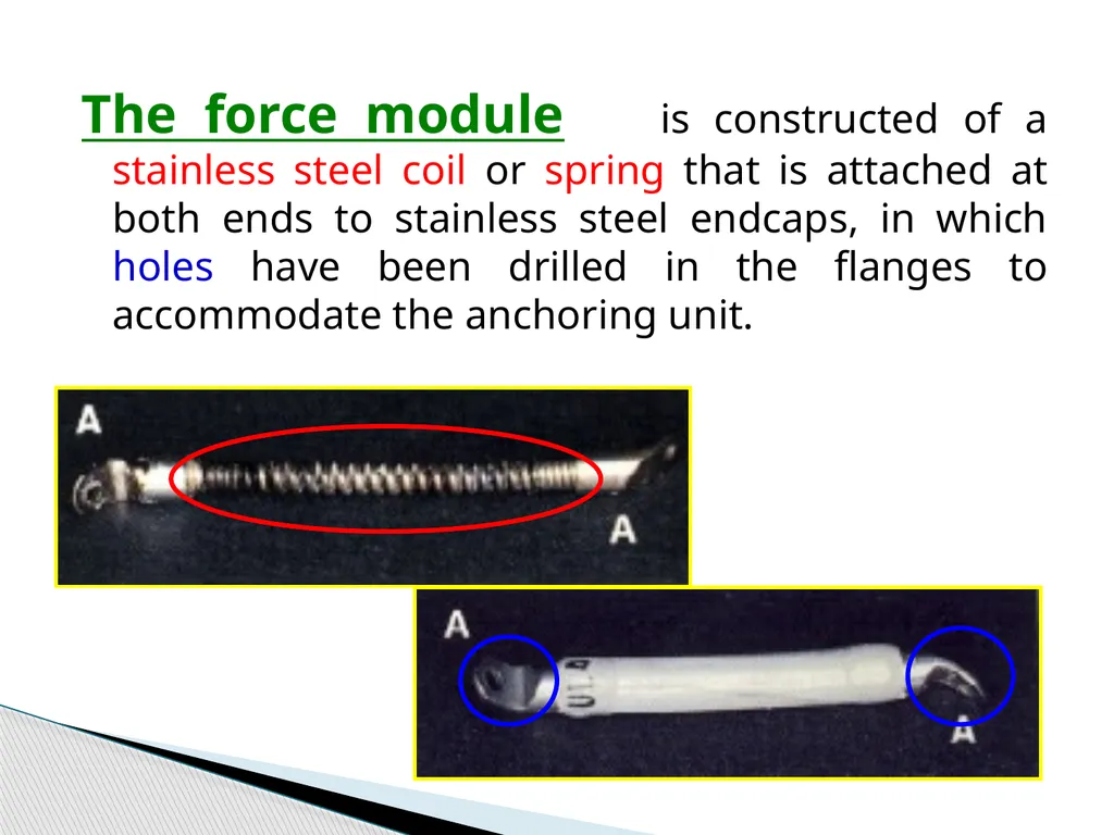 Fixed Functional Appliances Introduction - slide 24 of 48