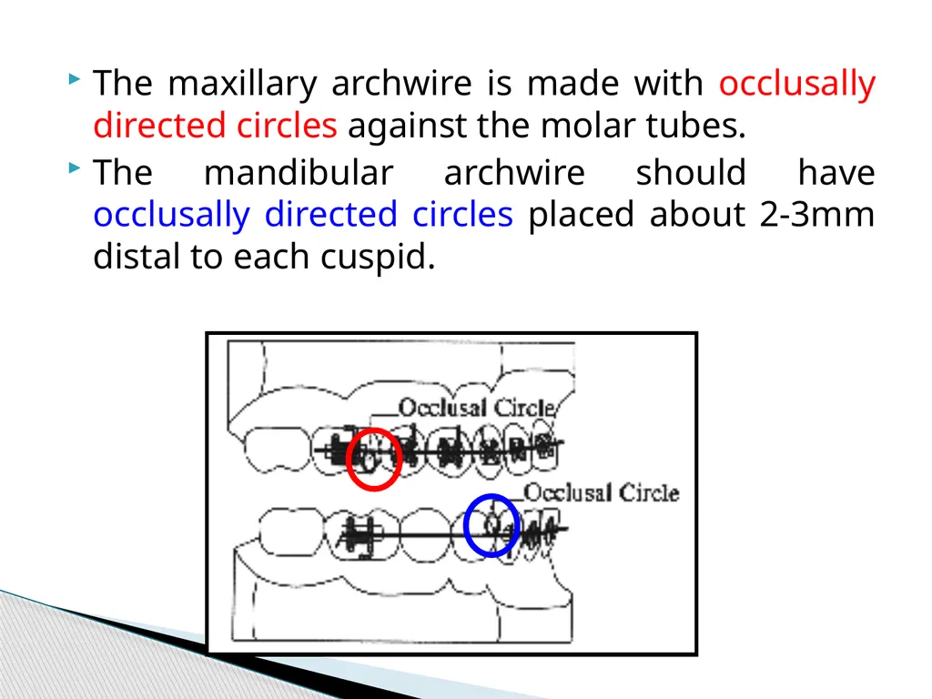 Fixed Functional Appliances Introduction - slide 35 of 48