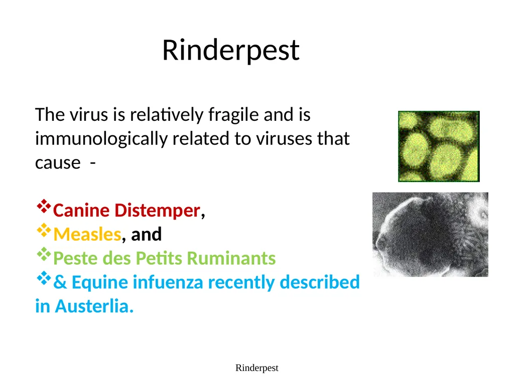 Rinderpest Rinderpest is characterized by high - slide 3 of 60