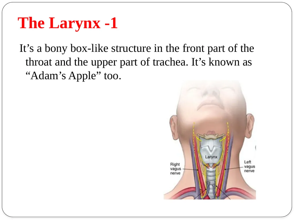 Shri Bahegavankar L.G. Assistant Professor - slide 9 of 29
