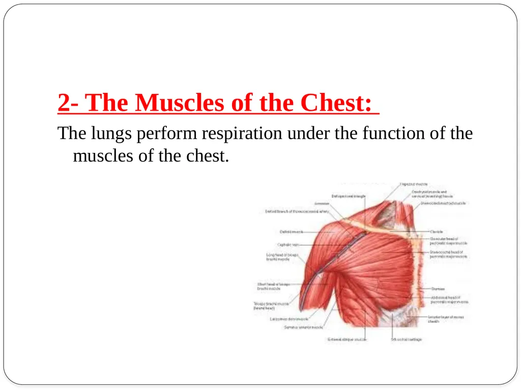 Shri Bahegavankar L.G. Assistant Professor - slide 6 of 29