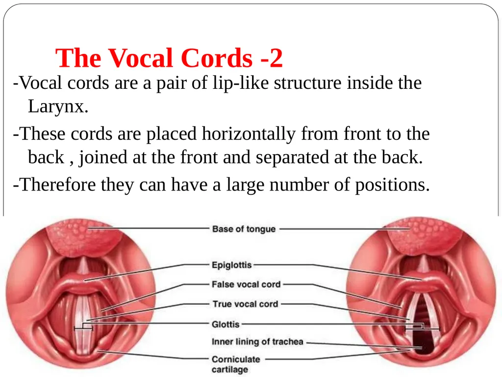 Shri Bahegavankar L.G. Assistant Professor - slide 10 of 29