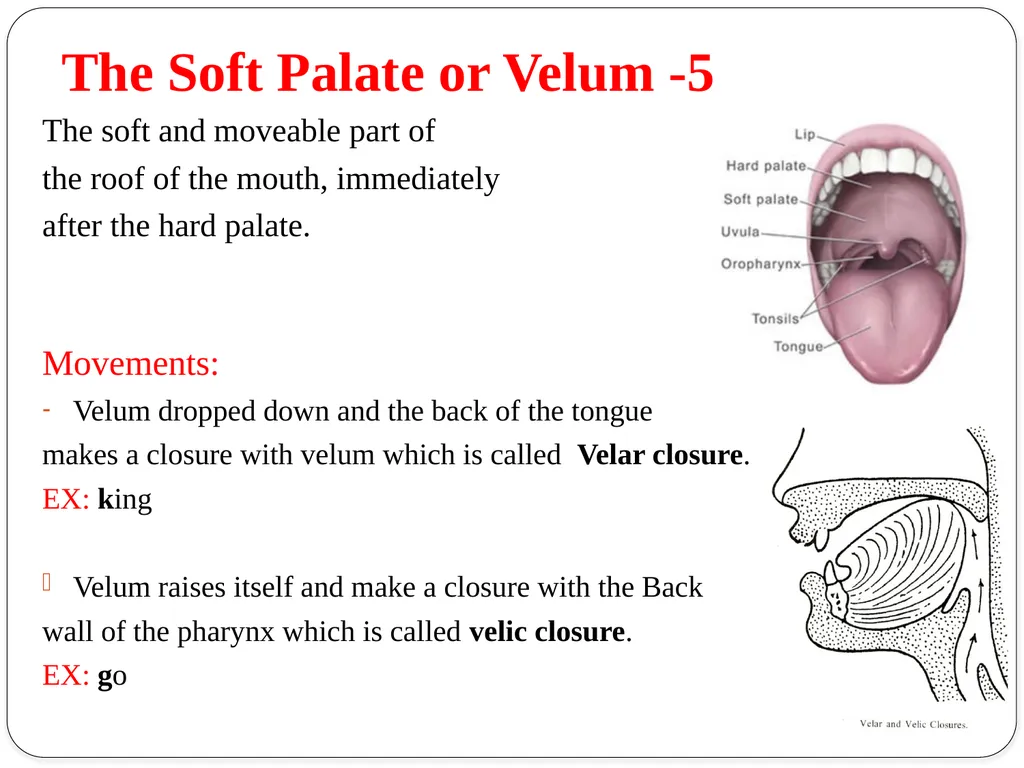 Shri Bahegavankar L.G. Assistant Professor - slide 20 of 29