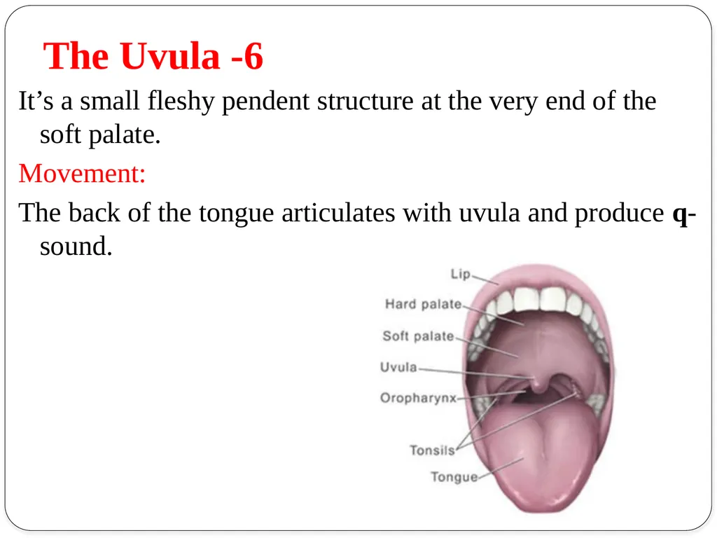 Shri Bahegavankar L.G. Assistant Professor - slide 21 of 29