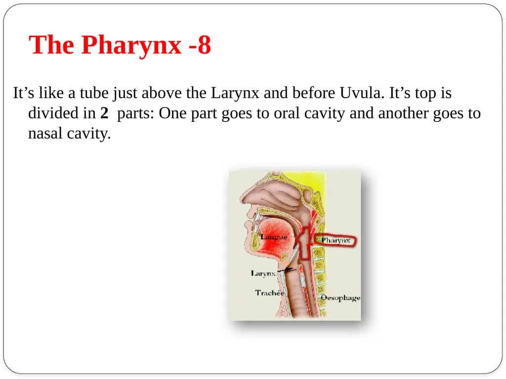 Shri Bahegavankar L.G. Assistant Professor - slide 25 of 29