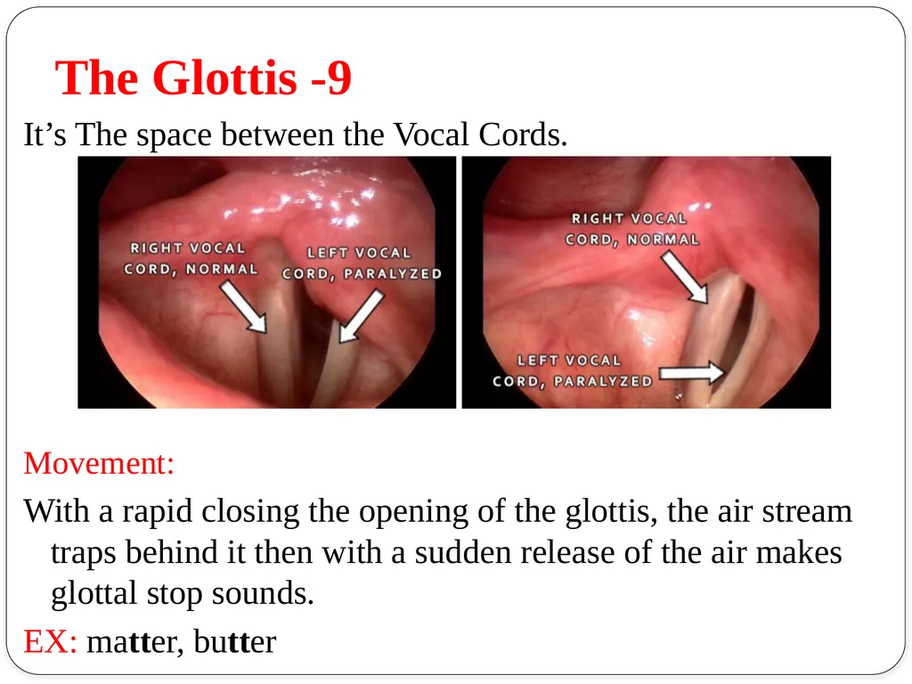 Shri Bahegavankar L.G. Assistant Professor - slide 26 of 29