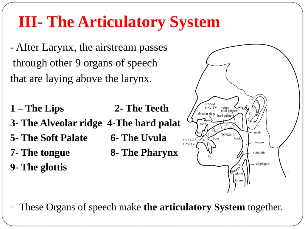 Shri Bahegavankar L.G. Assistant Professor - slide 14 of 29