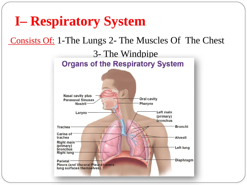 Shri Bahegavankar L.G. Assistant Professor - slide 4 of 29