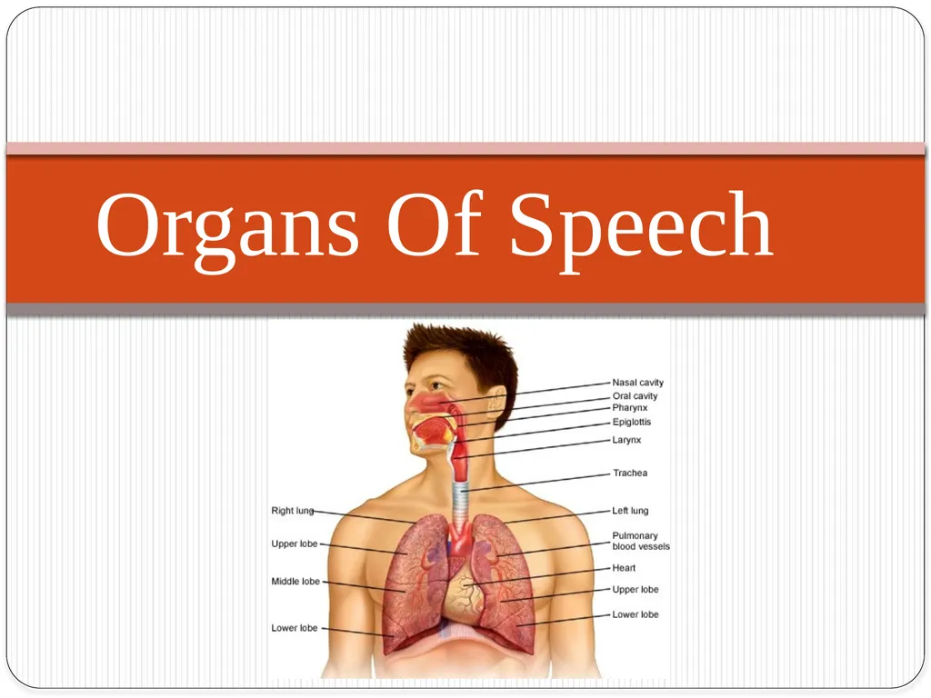 Shri Bahegavankar L.G. Assistant Professor - slide 2 of 29