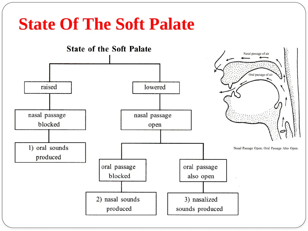 Shri Bahegavankar L.G. Assistant Professor - slide 28 of 29