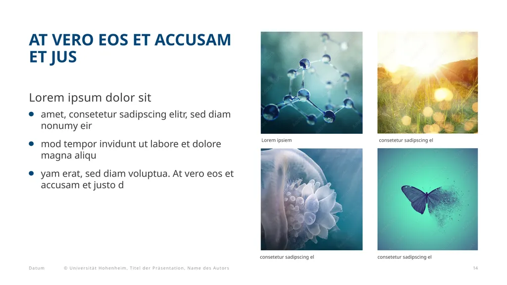 At vero eos et accusam et justo duo dolores et - slide 14 of 23