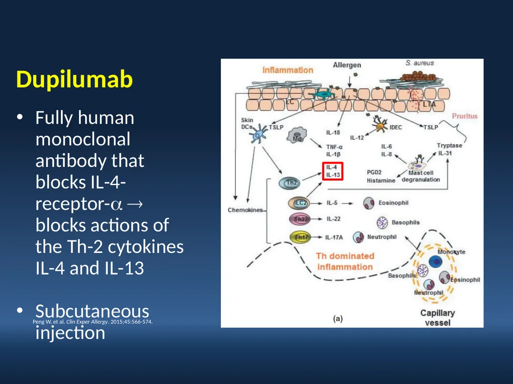 Faculty David I. Bernstein, MD Professor of - slide 66 of 76
