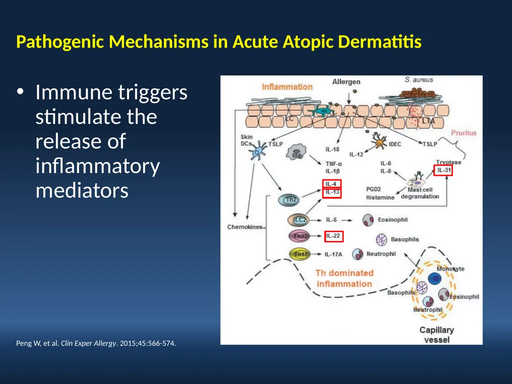 Faculty David I. Bernstein, MD Professor of - slide 13 of 76