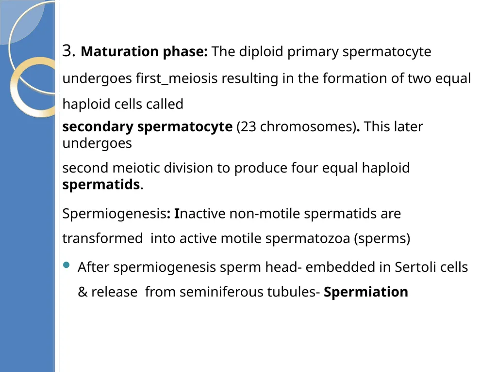 Human Reproduction BIOLOGY ,CHAPTER 03,CLASS-XII - slide 32 of 69
