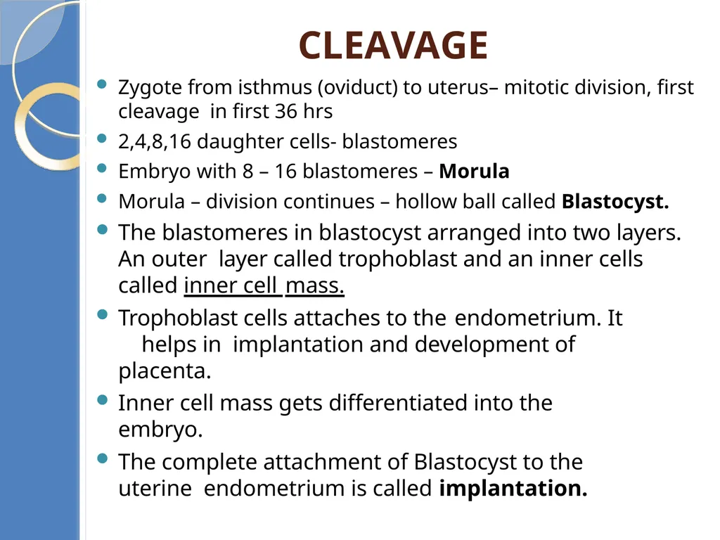 Human Reproduction BIOLOGY ,CHAPTER 03,CLASS-XII - slide 61 of 69