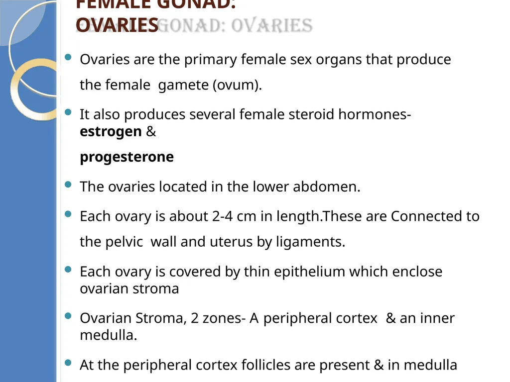Human Reproduction BIOLOGY ,CHAPTER 03,CLASS-XII - slide 21 of 69
