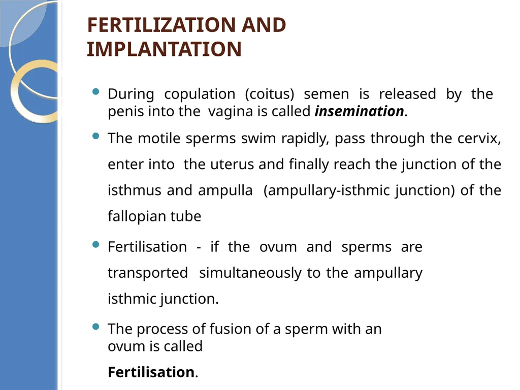 Human Reproduction BIOLOGY ,CHAPTER 03,CLASS-XII - slide 55 of 69