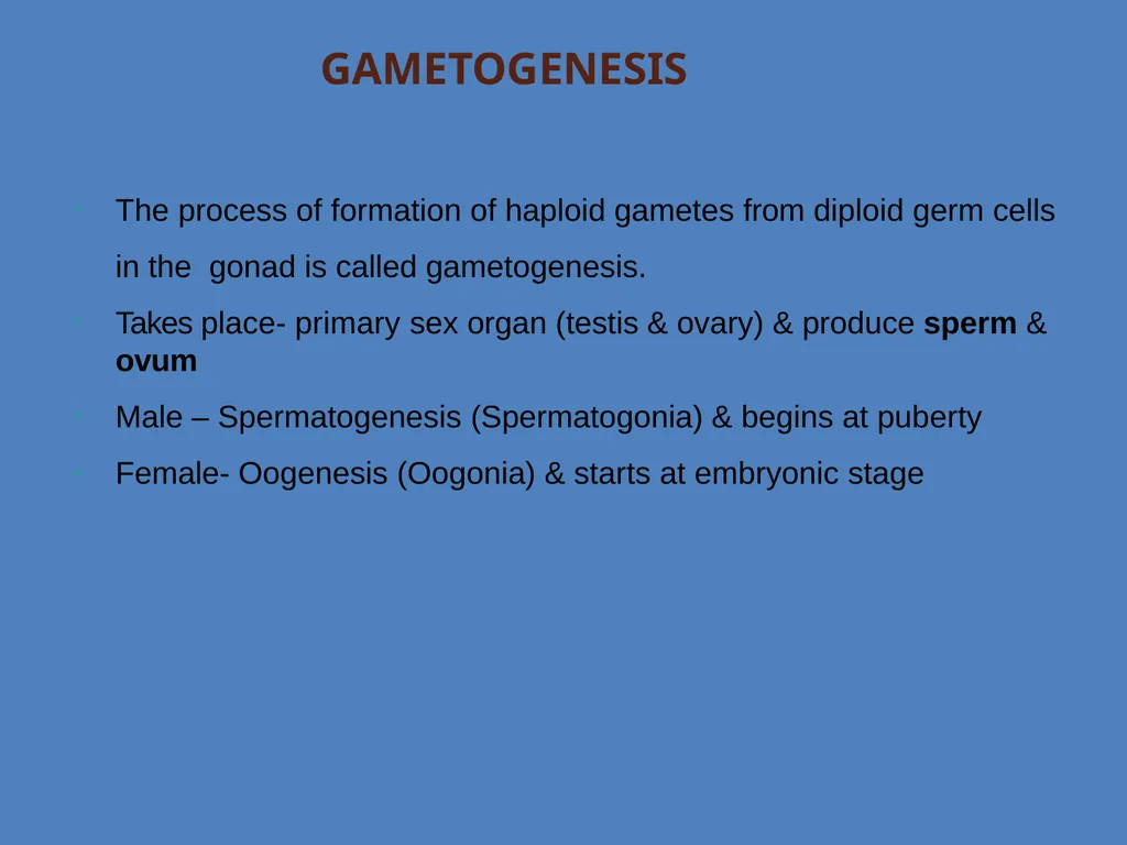 Human Reproduction BIOLOGY ,CHAPTER 03,CLASS-XII - slide 29 of 69