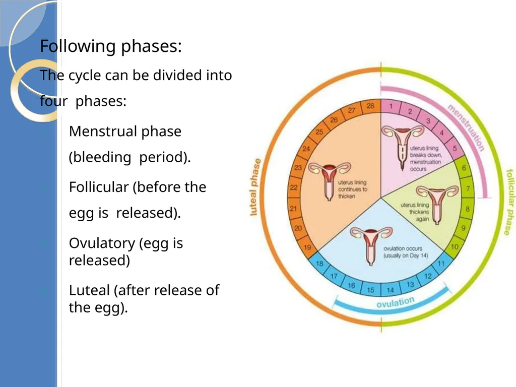 Human Reproduction BIOLOGY ,CHAPTER 03,CLASS-XII - slide 49 of 69