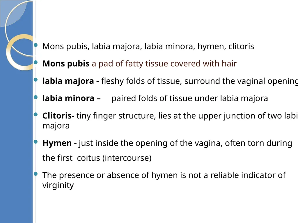 Human Reproduction BIOLOGY ,CHAPTER 03,CLASS-XII - slide 27 of 69