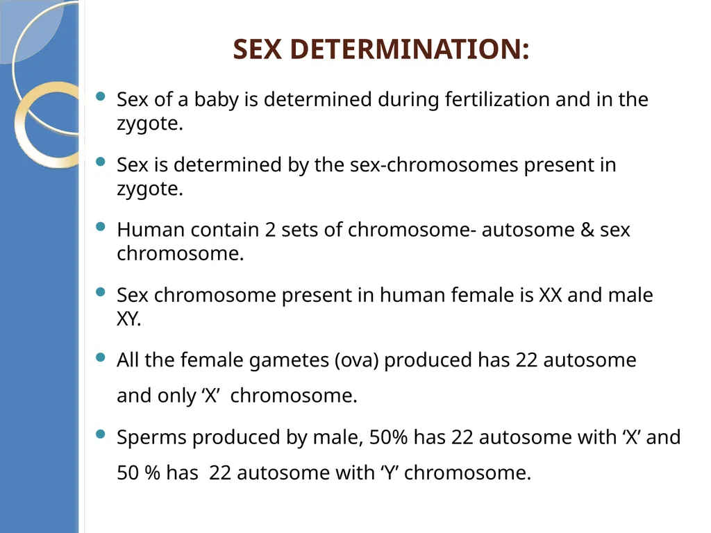 Human Reproduction BIOLOGY ,CHAPTER 03,CLASS-XII - slide 59 of 69