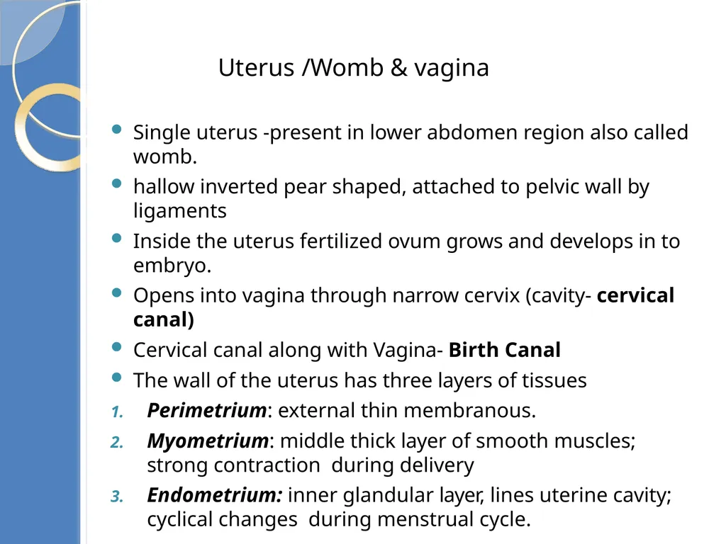 Human Reproduction BIOLOGY ,CHAPTER 03,CLASS-XII - slide 26 of 69
