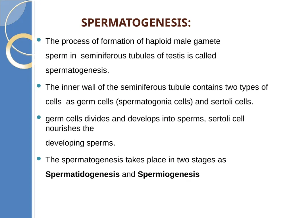 Human Reproduction BIOLOGY ,CHAPTER 03,CLASS-XII - slide 30 of 69