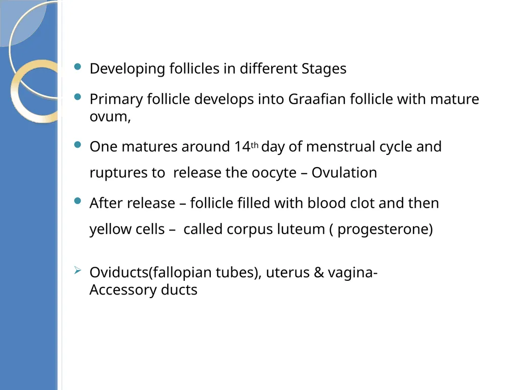 Human Reproduction BIOLOGY ,CHAPTER 03,CLASS-XII - slide 23 of 69