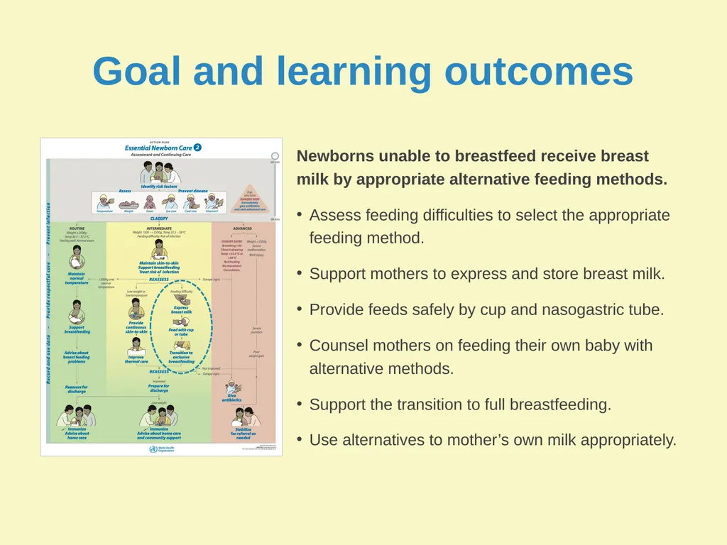 Breast milk feeding: Alternative methods Goal and - slide 3 of 54