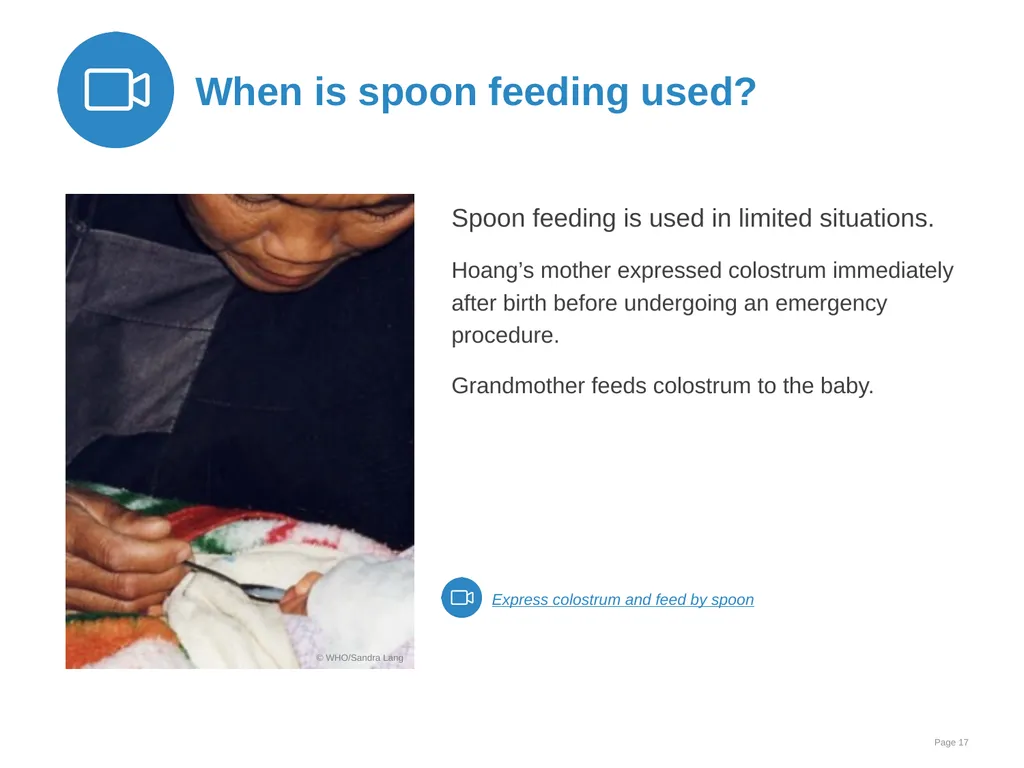 Breast milk feeding: Alternative methods Goal and - slide 17 of 54