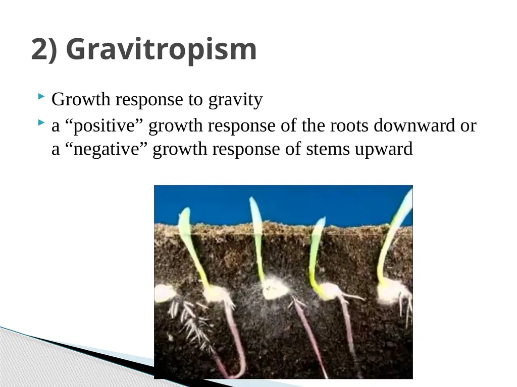 PLANTS: REPRODUCTION, GROWTH & SUSTAINABILTY - slide 35 of 37