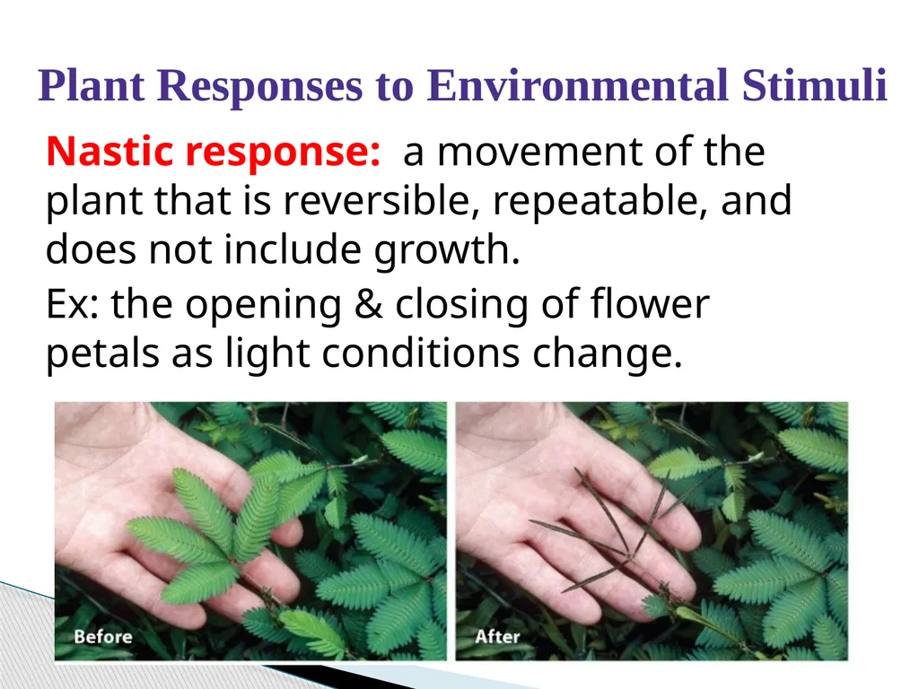 PLANTS: REPRODUCTION, GROWTH & SUSTAINABILTY - slide 32 of 37