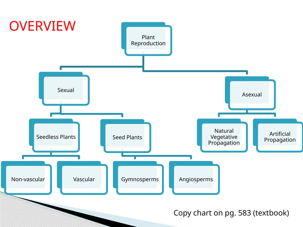 PLANTS: REPRODUCTION, GROWTH & SUSTAINABILTY - slide 5 of 37