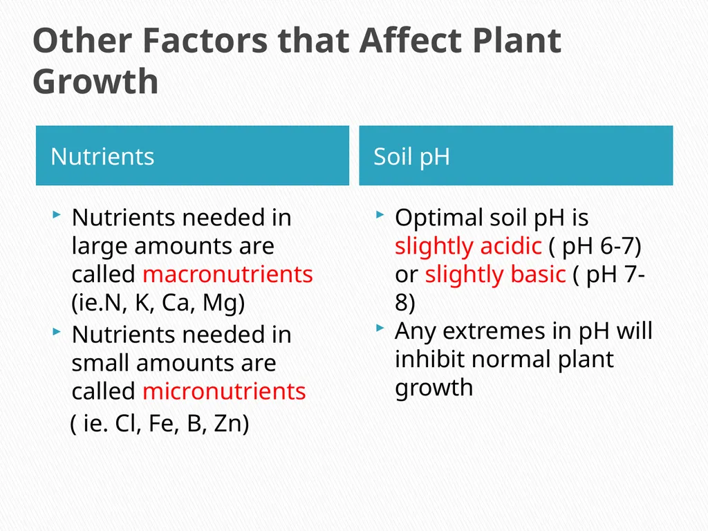 PLANTS: REPRODUCTION, GROWTH & SUSTAINABILTY - slide 37 of 37