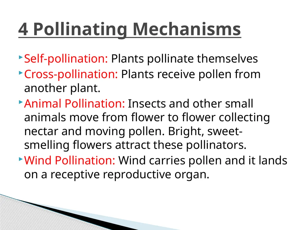 PLANTS: REPRODUCTION, GROWTH & SUSTAINABILTY - slide 12 of 37