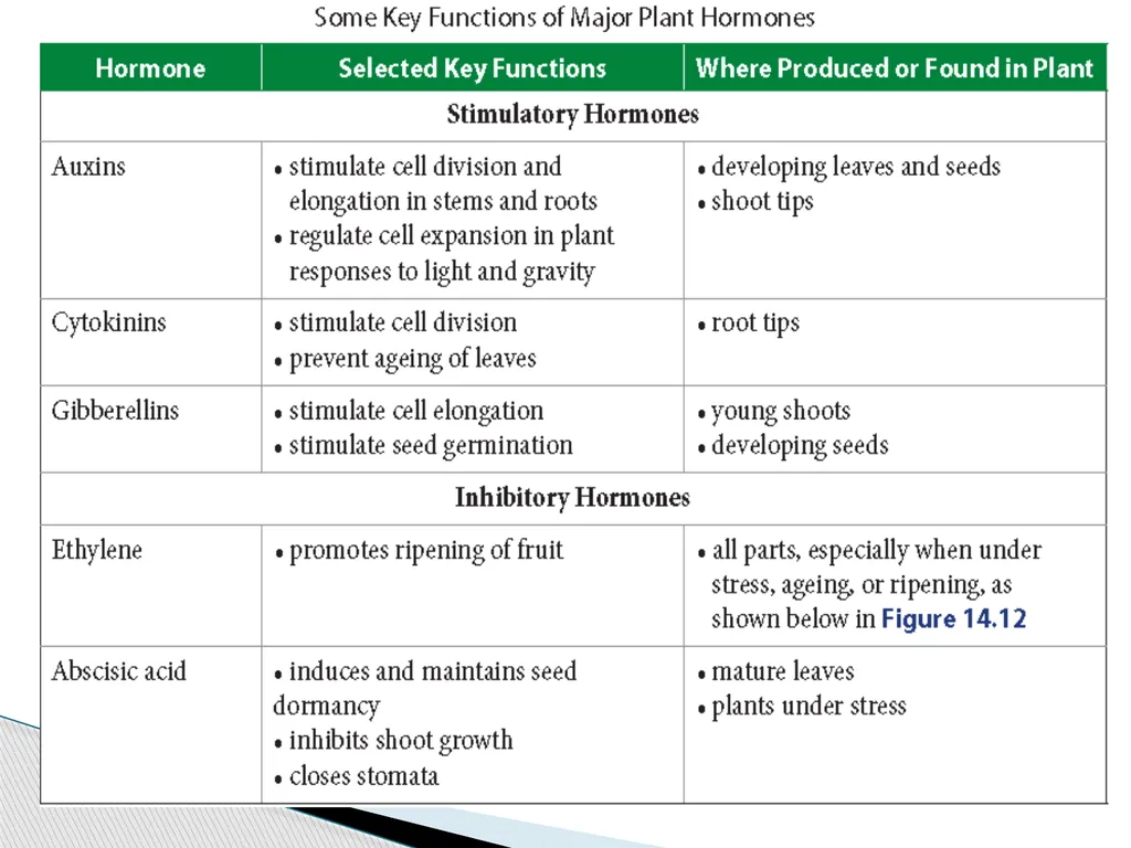 PLANTS: REPRODUCTION, GROWTH & SUSTAINABILTY - slide 26 of 37