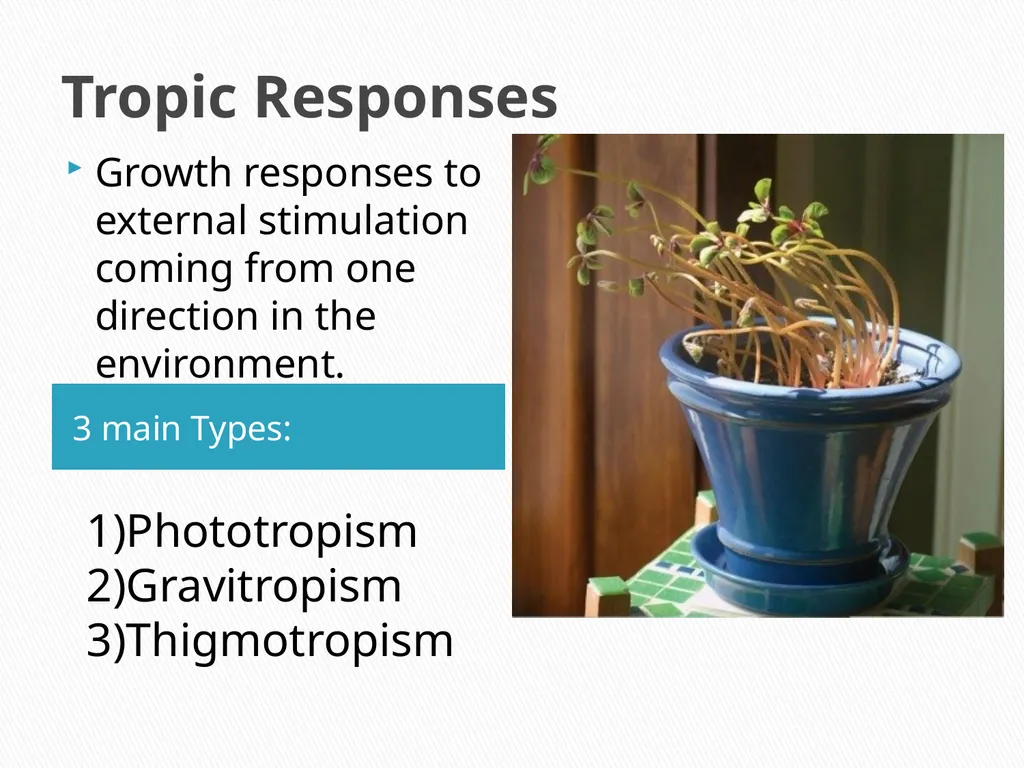 PLANTS: REPRODUCTION, GROWTH & SUSTAINABILTY - slide 33 of 37