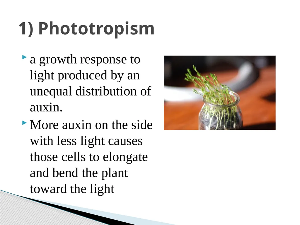PLANTS: REPRODUCTION, GROWTH & SUSTAINABILTY - slide 34 of 37