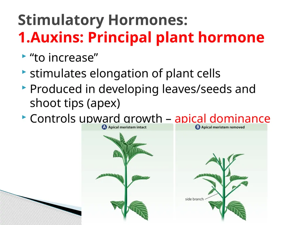 PLANTS: REPRODUCTION, GROWTH & SUSTAINABILTY - slide 27 of 37