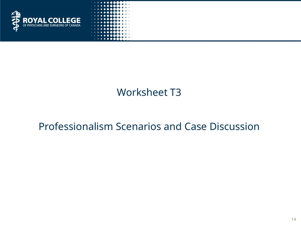 T2 - Teaching the Professional Role Author: Lorem - slide 14 of 29