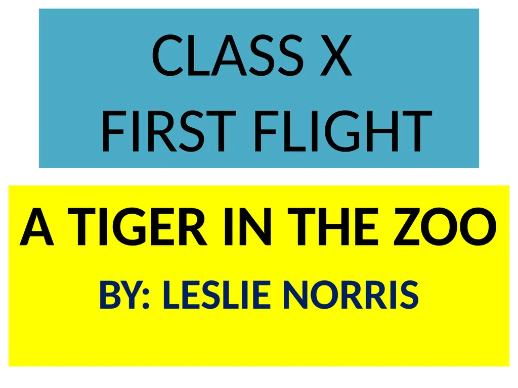 CLASS X FIRST FLIGHT A TIGER IN THE ZOO BY: - slide 1 of 11