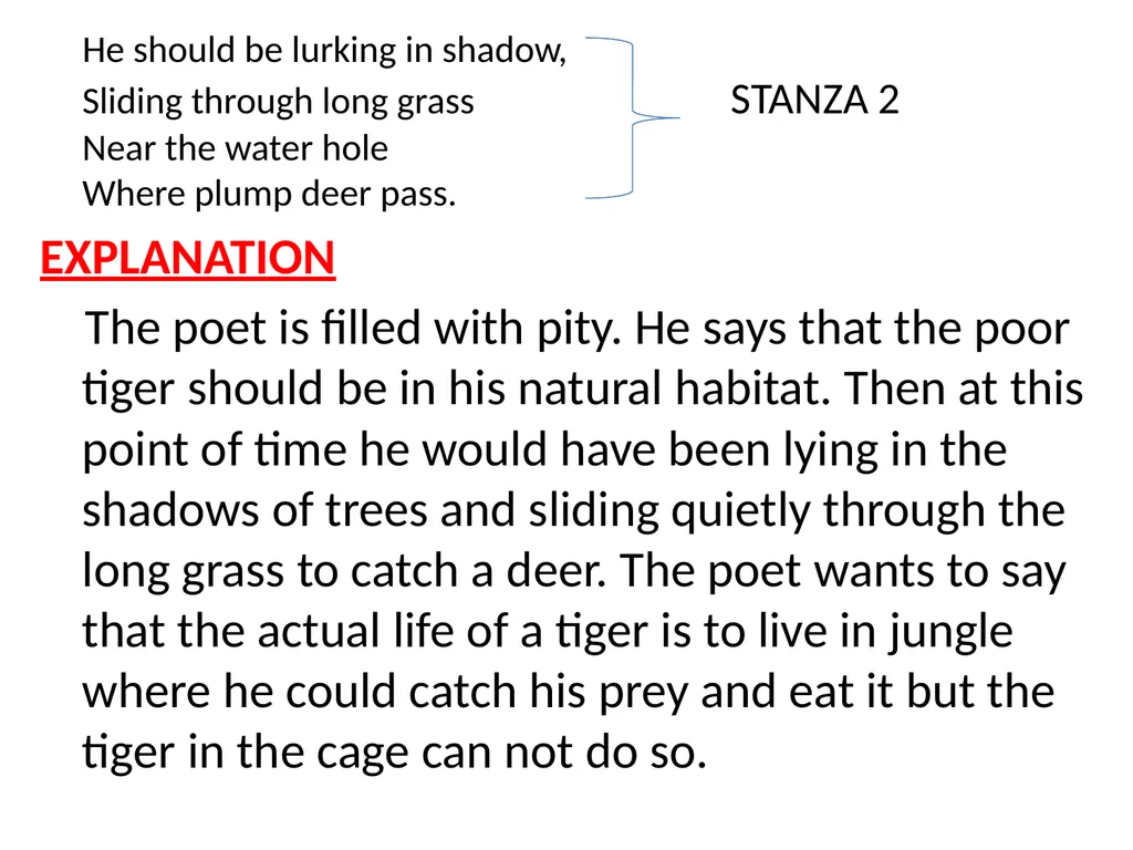 CLASS X FIRST FLIGHT A TIGER IN THE ZOO BY: - slide 7 of 11
