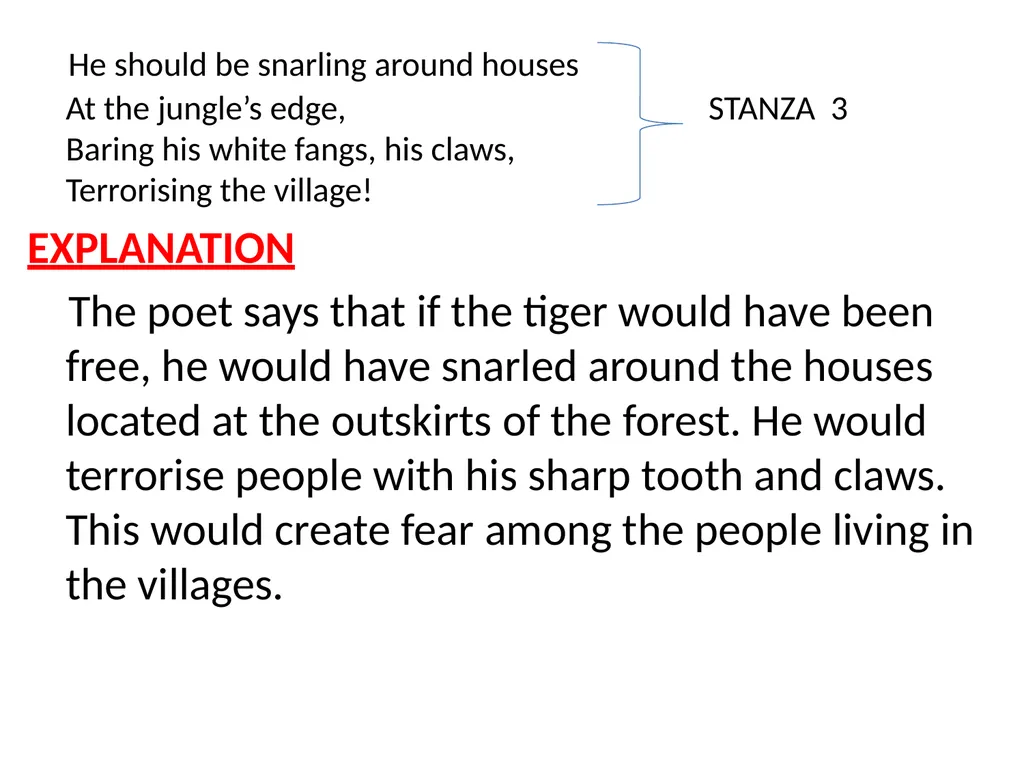 CLASS X FIRST FLIGHT A TIGER IN THE ZOO BY: - slide 8 of 11