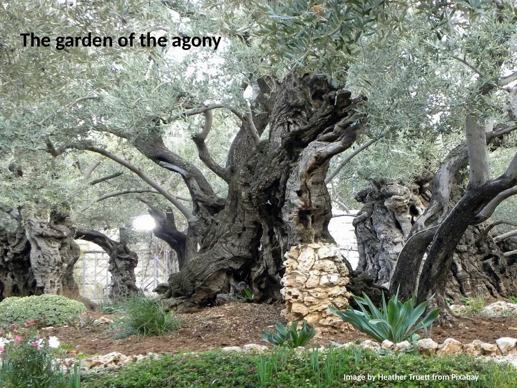 Image by Thomas B. from Pixabay THE PASSION OF - slide 7 of 47