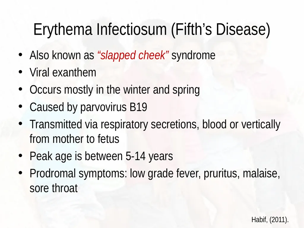 Commonly Seen Infectious and Non-Infectious Skin - slide 63 of 86