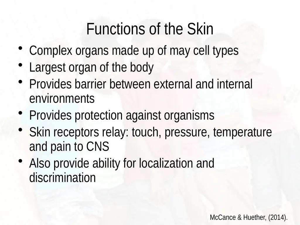 Commonly Seen Infectious and Non-Infectious Skin - slide 6 of 86